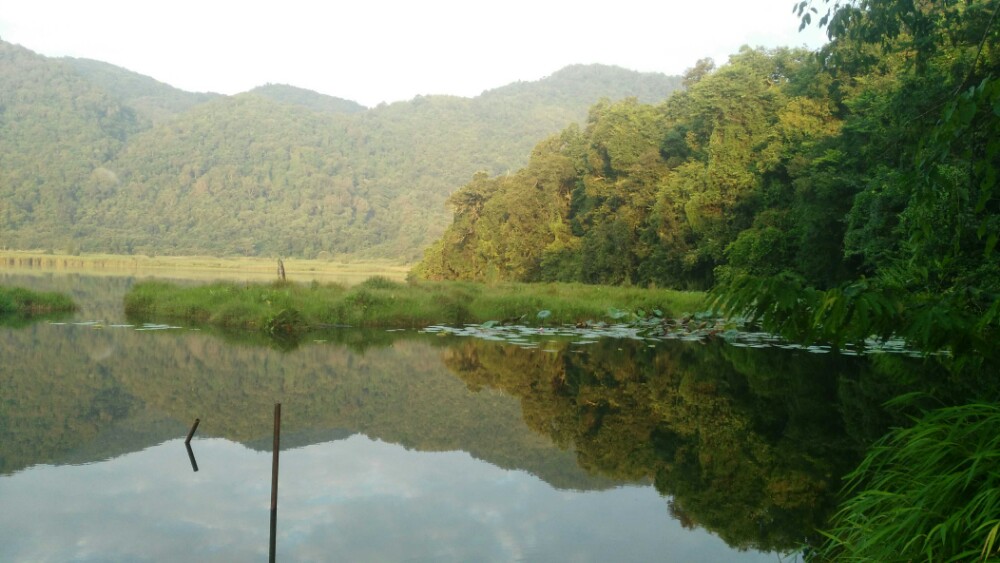 2019勐梭龙潭_旅游攻略_门票_地址_游记点评,普洱旅游景点推荐 - 去