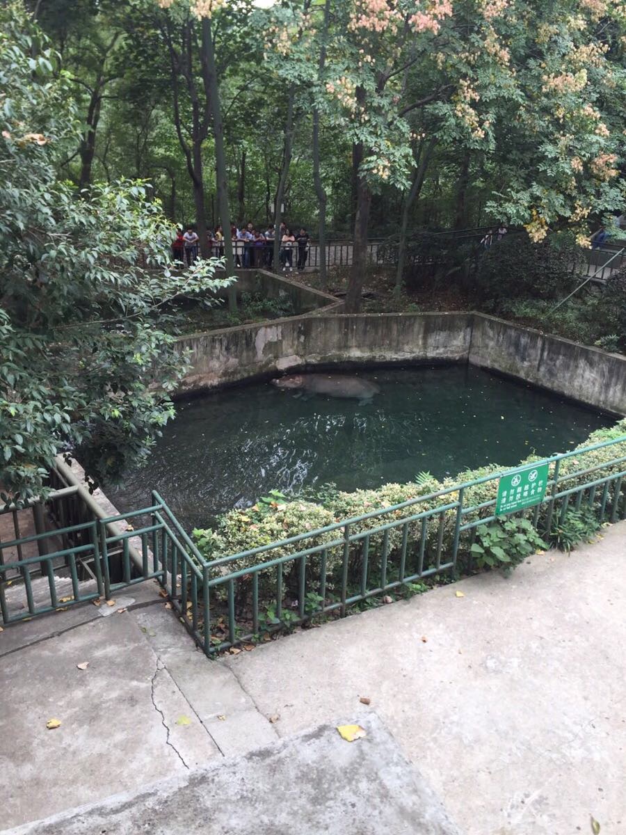 2019红山森林动物园_旅游攻略_门票_地址_游记点评