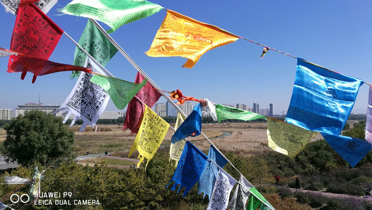 成吉思汗草原生态园