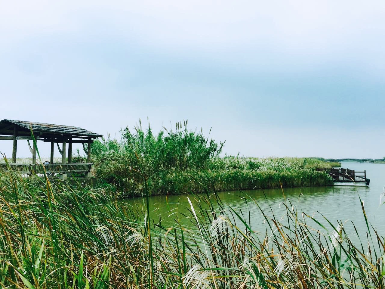 慈溪杭州湾国家湿地公园好玩吗,慈溪杭州湾国家湿地样