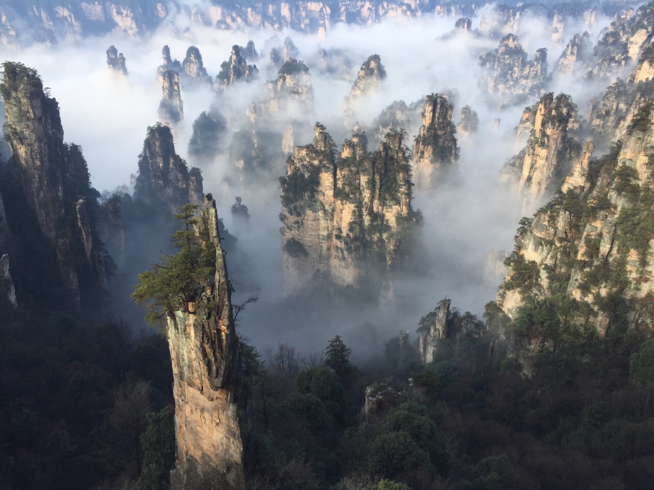 西游记和阿凡达的外景地,景色非常美丽,如果赶上好天气还可以看到云海