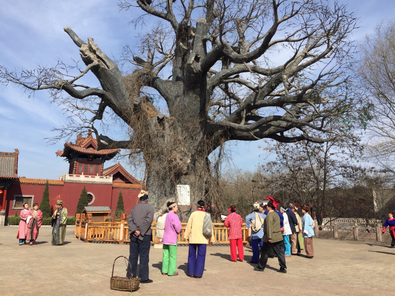 洪洞大槐树寻根祭祖园