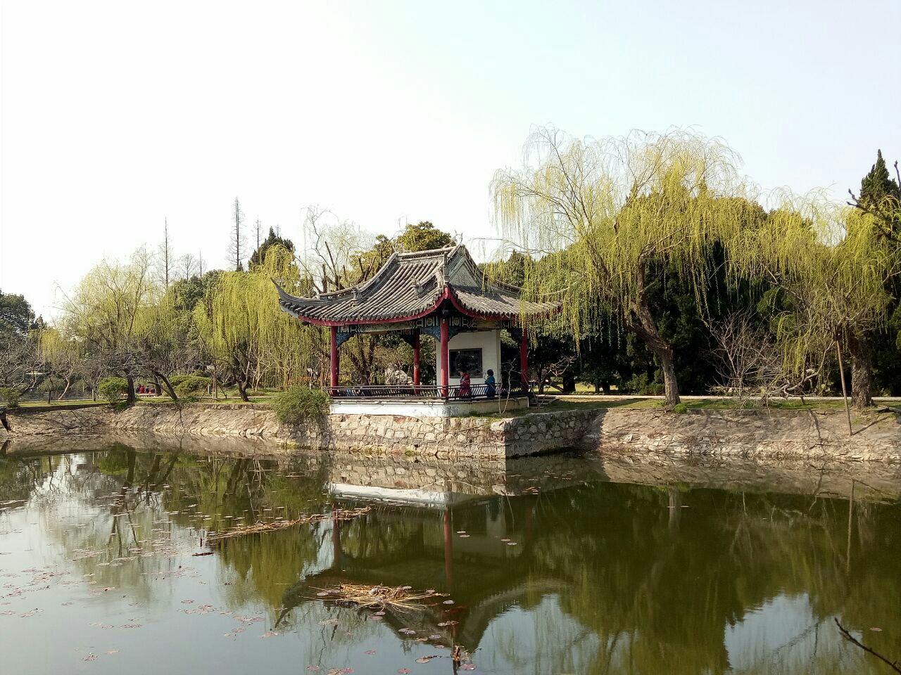 蠡园的湖畔长堤柳树和桃树相间种植,花红柳绿的,加上美丽的湖畔景色