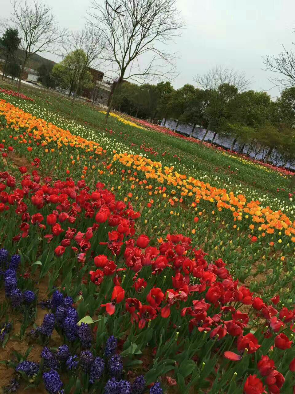 2019凤凰沟_旅游攻略_门票_地址_游记点评,南昌旅游景点推荐 - 去哪儿