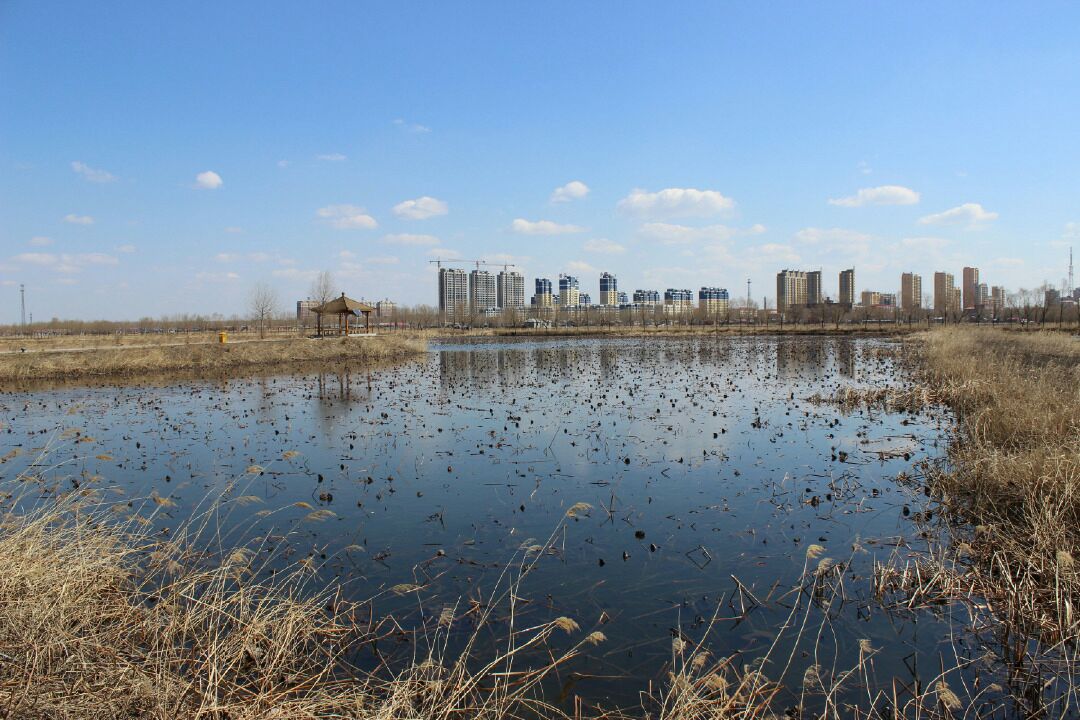 【携程攻略】肇源西海湿地公园景点,别人都喜欢去外地旅游,我却唯独