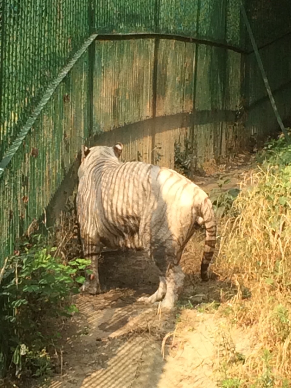 浦口珍珠泉野生动物生态园