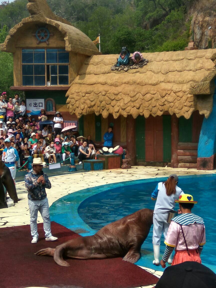 大连老虎滩海兽馆