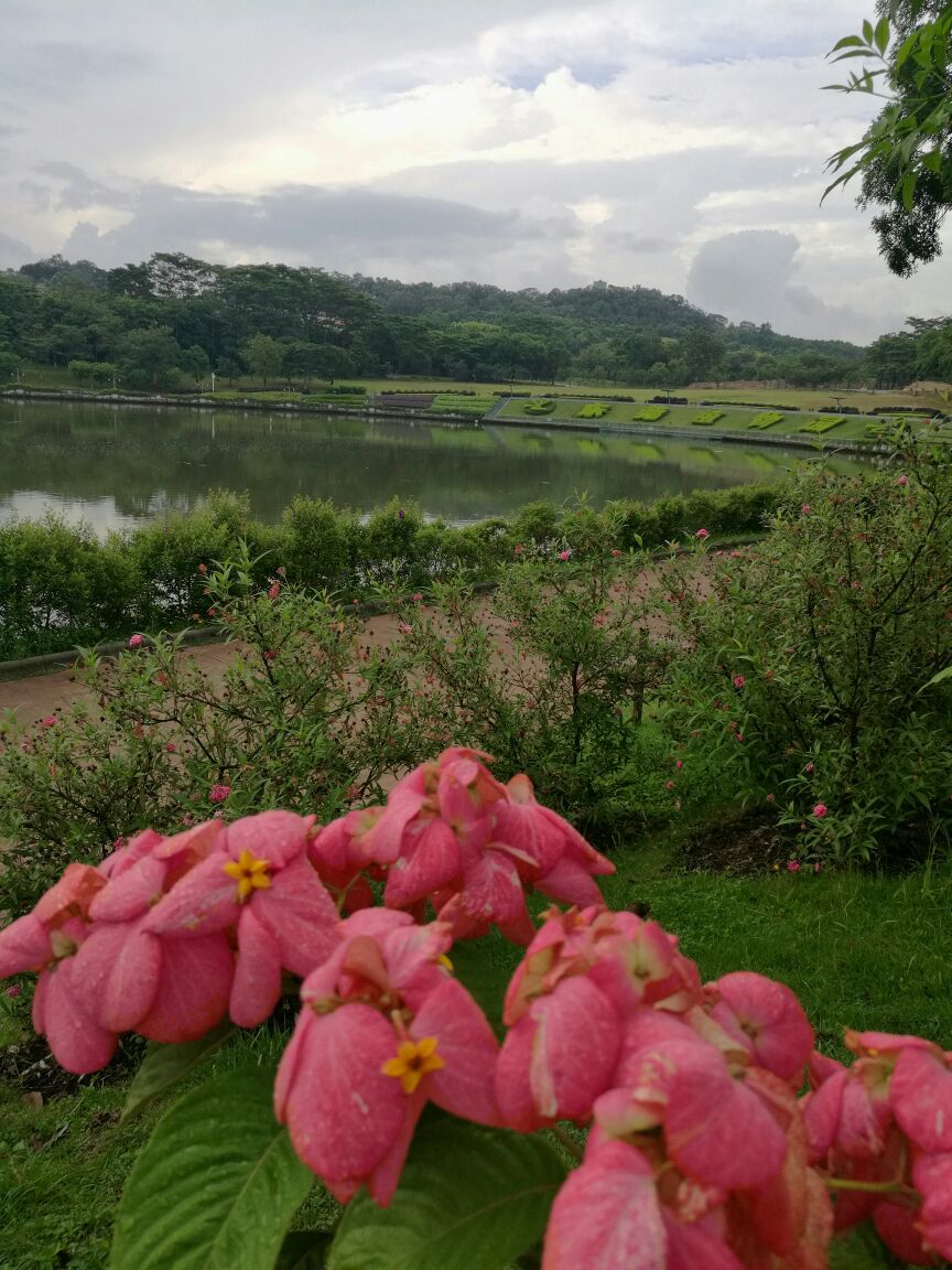 东莞植物园