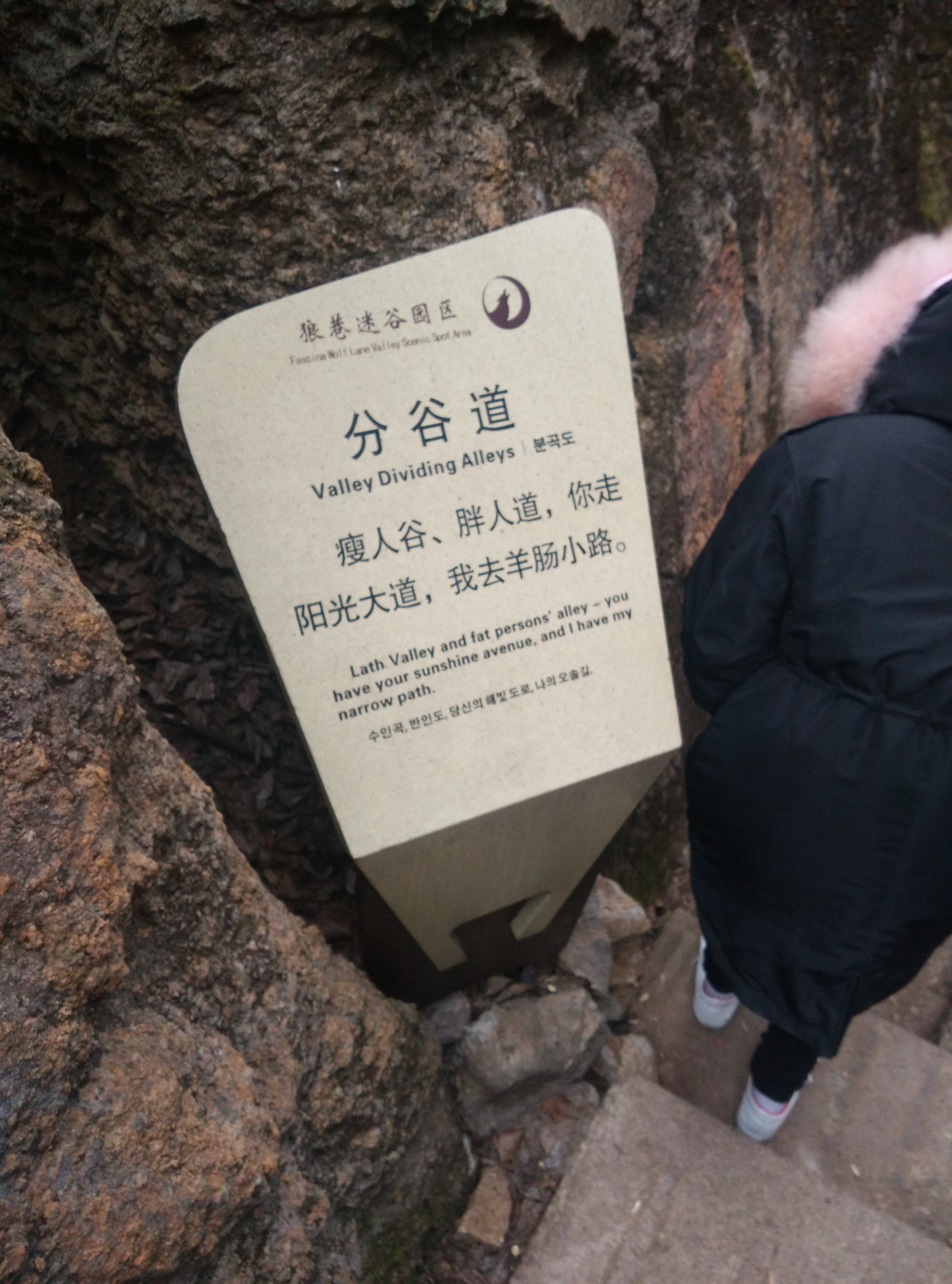 狼巷迷谷