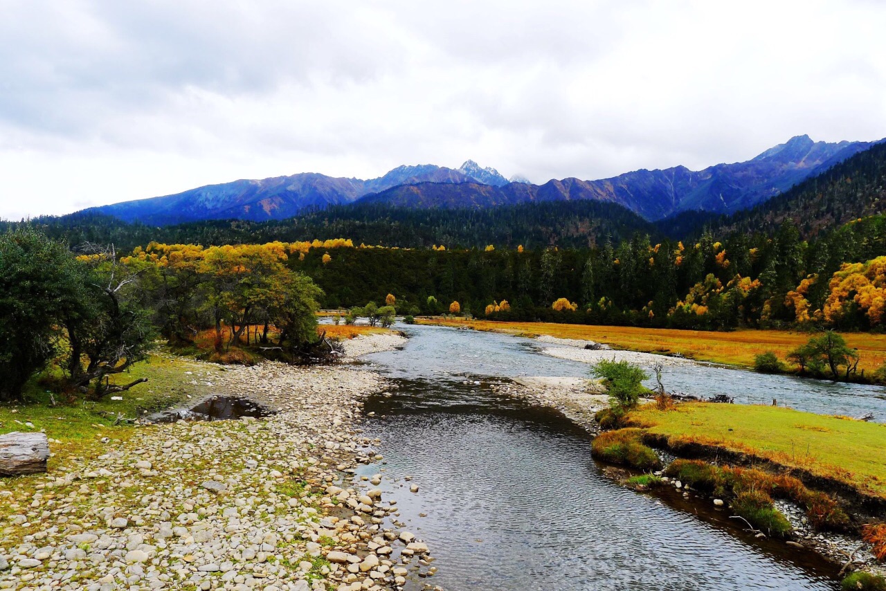 2019鲁朗花海牧场_旅游攻略_门票_地址_游记点评,林芝