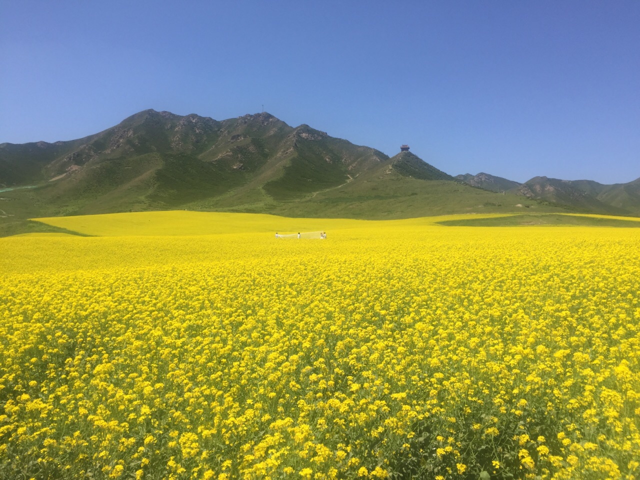 扁都口生态休闲旅游区