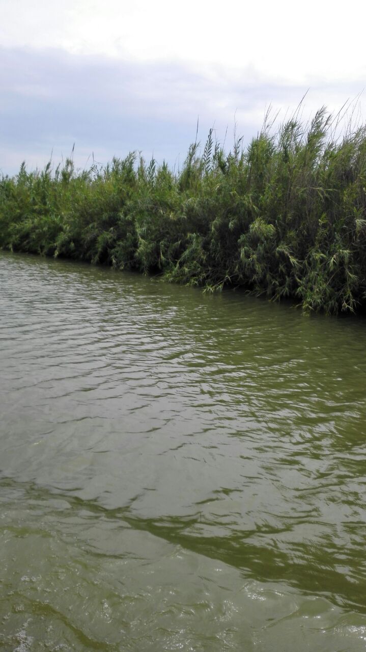 泗洪洪泽湖湿地