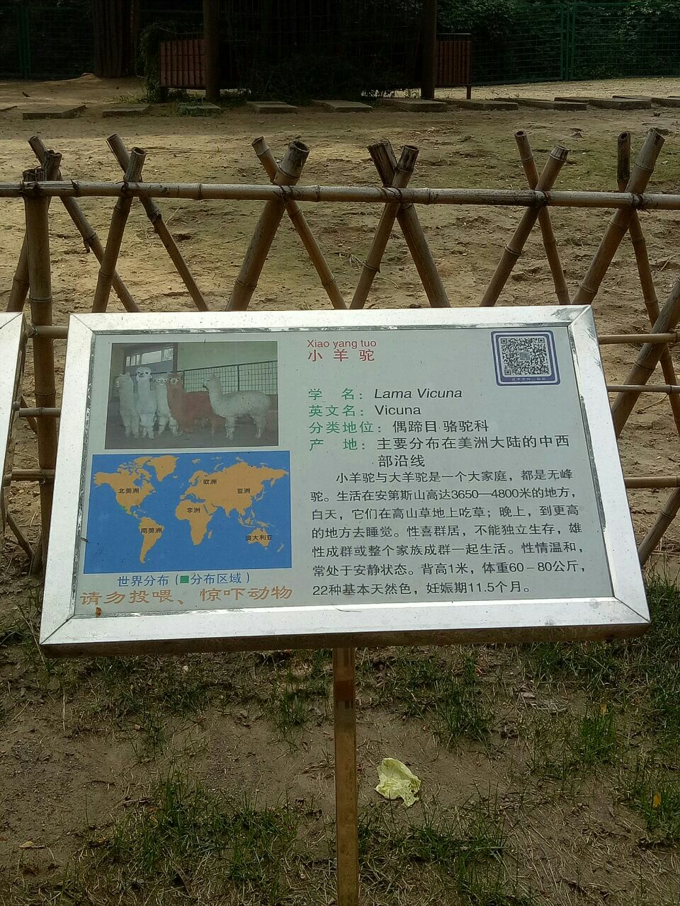 济南动物园jinan zoo