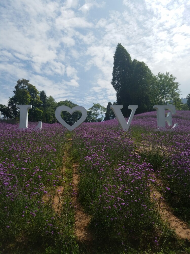 2019天府花溪谷_旅游攻略_门票_地址_游记点评,大邑旅游景点推荐 - 去