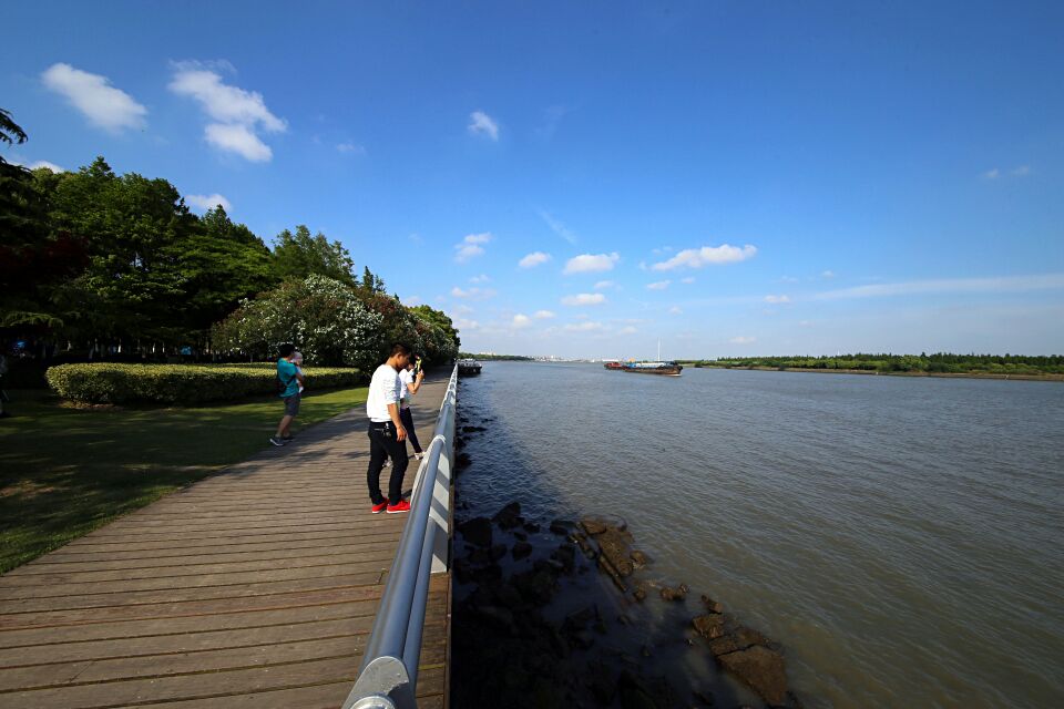 闵行滨江湿地公园