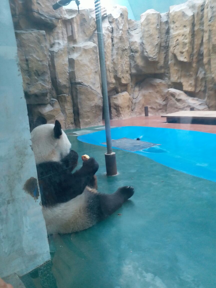 成都动物园