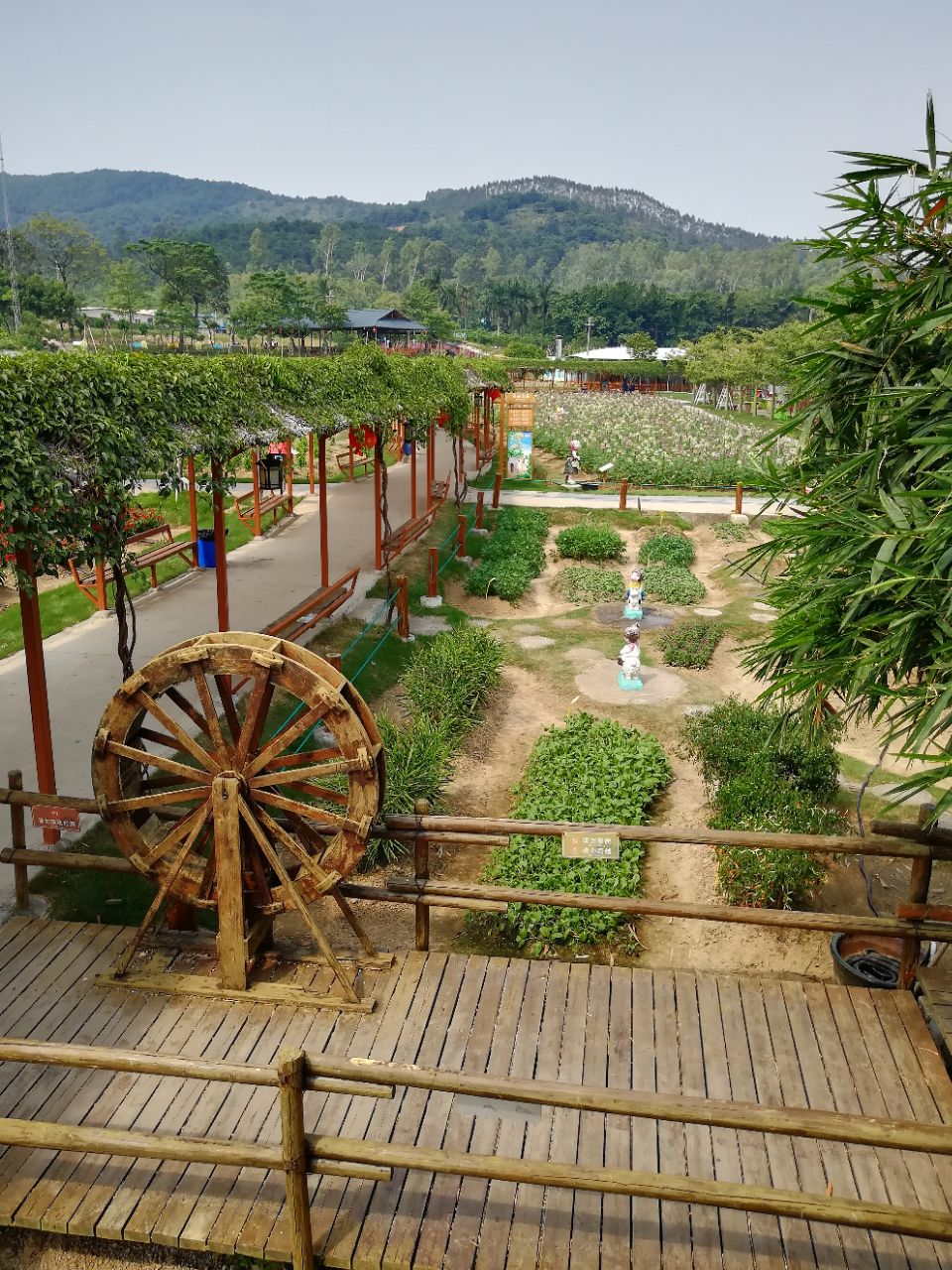 【携程攻略】佛山高明盈香生态园好玩吗,佛山高明盈香