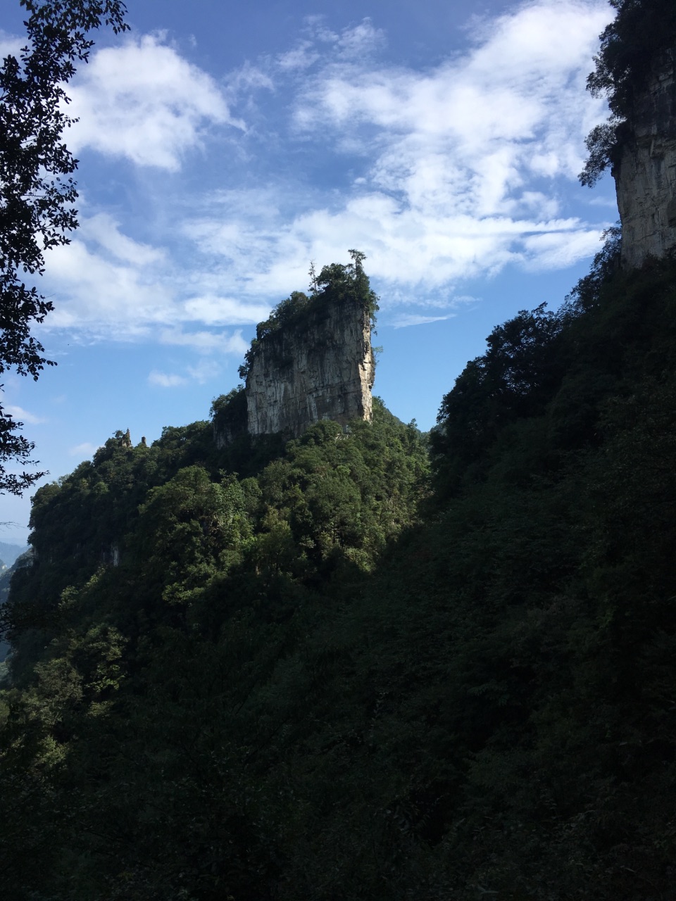 油杉河景区
