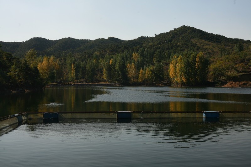 大黑汀水库