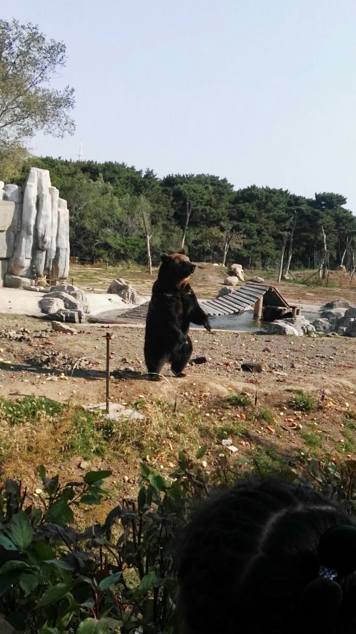 沈阳森林动物园
