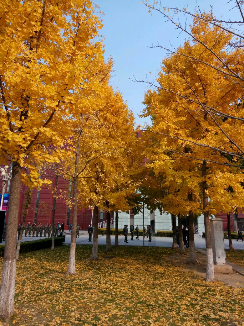 北京科技大学体育馆