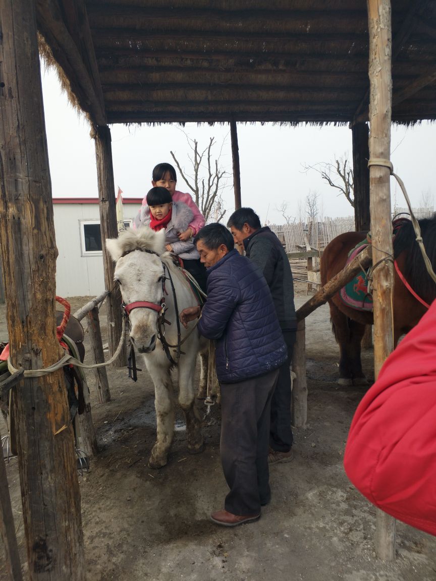 高密红高粱影视城好玩吗,高密红高粱影视城景点怎么样