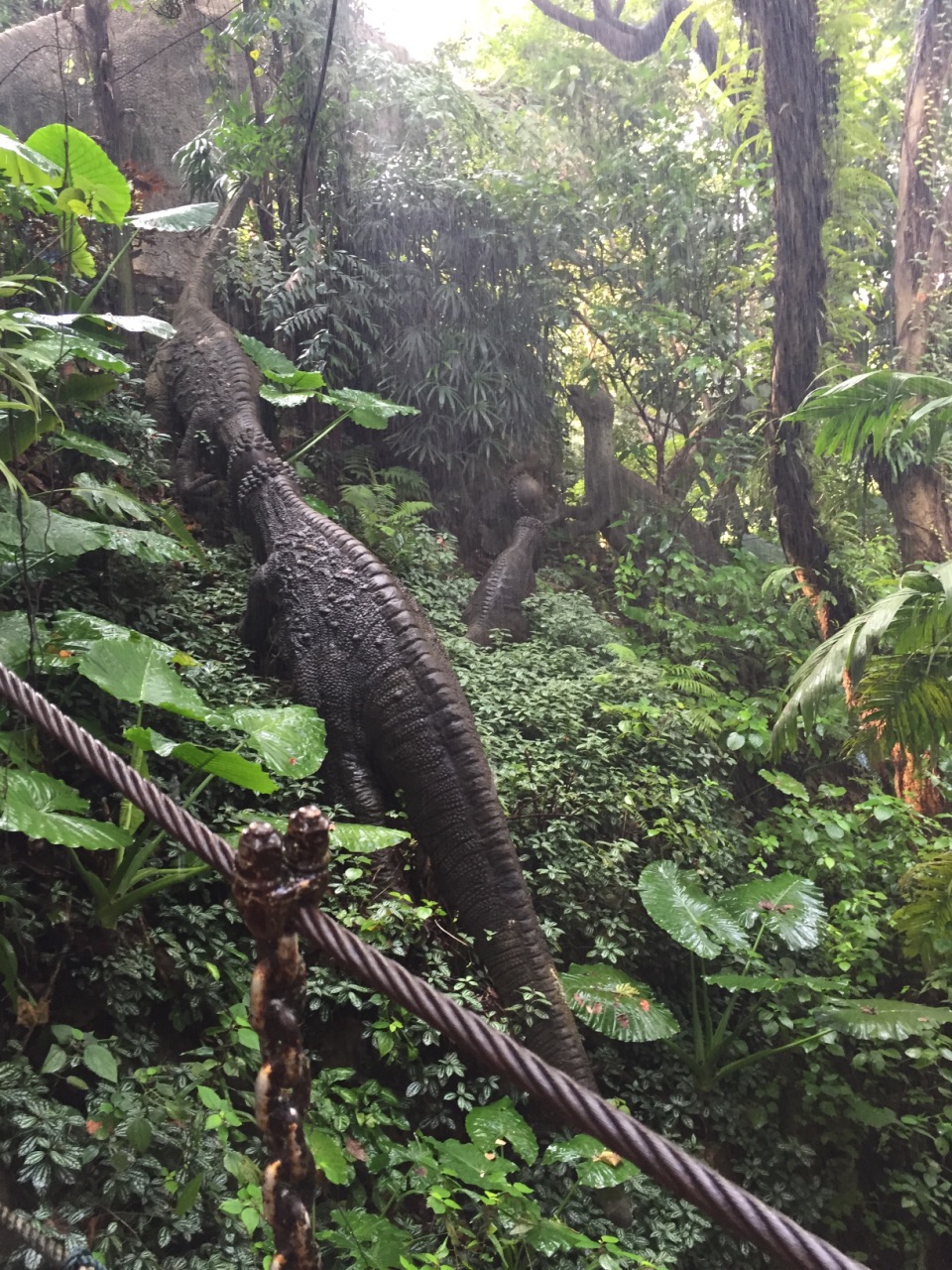 青青世界有什么好玩的