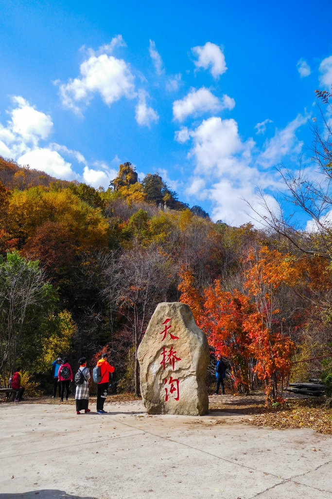 红叶"疯"了,宽甸天桥沟枫叶欣赏