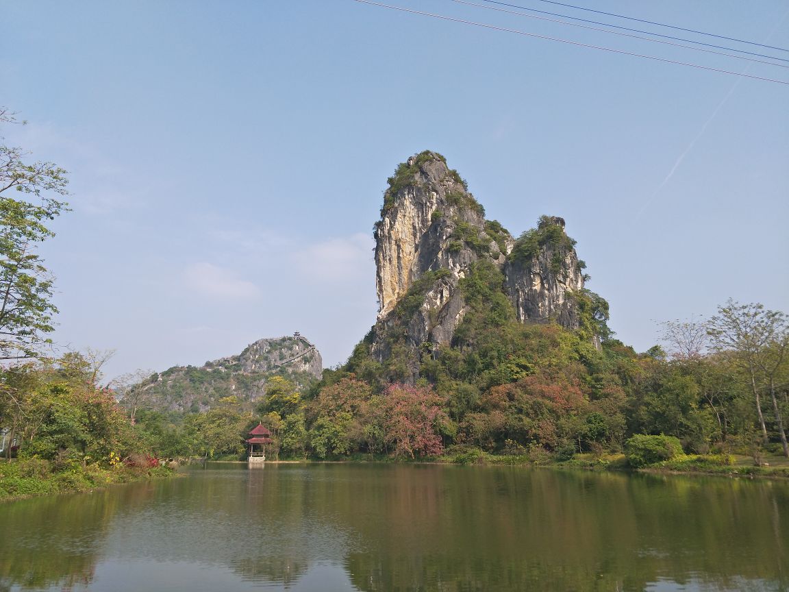 武鸣区花花大世界好玩吗,武鸣区花花大世界景点怎么样_点评_评价