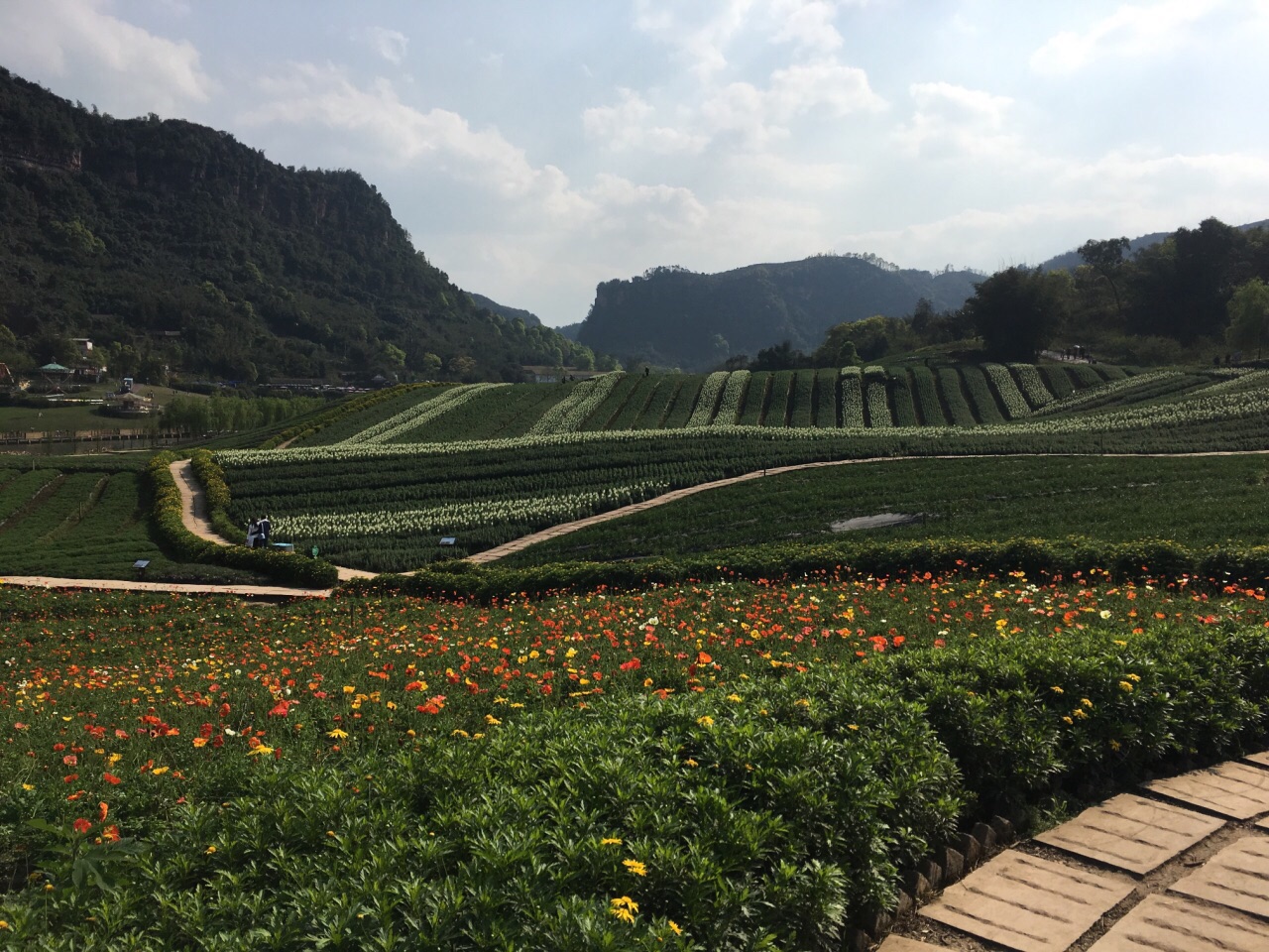 泸州清溪谷旅游区61花田酒地景区好玩吗,泸州清溪谷旅游区61花田