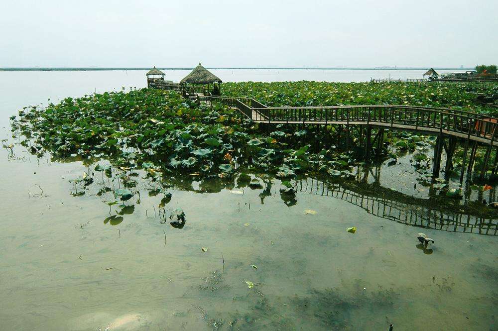 阳澄湖阳澄湖莲花岛好玩吗,阳澄湖阳澄湖莲花岛景点样