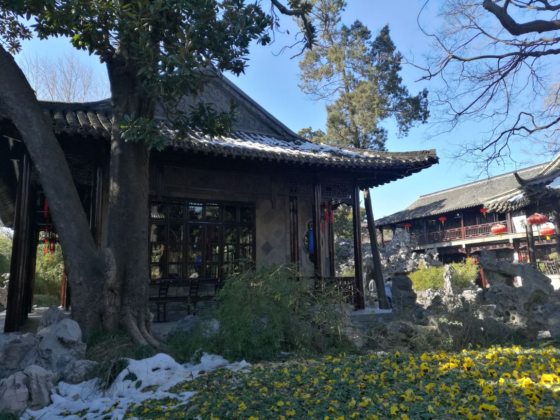 宜雨轩是个园的花园里的主建筑,她可以四面观赏个园里的景色