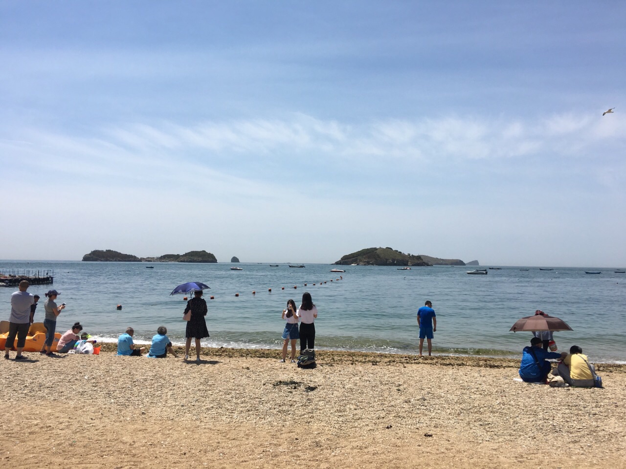 大连森林动物园旅游景点攻略图