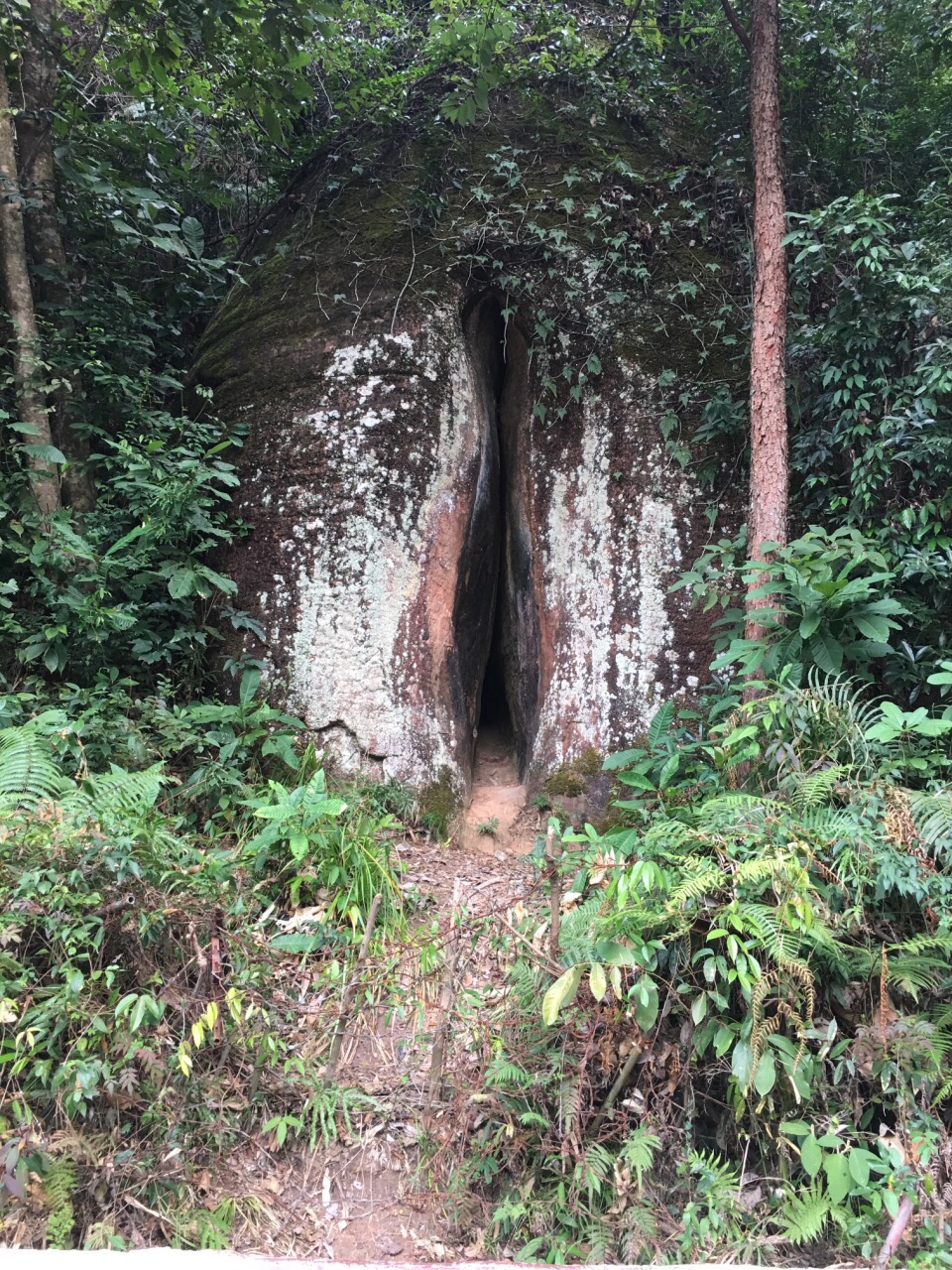 阳元山