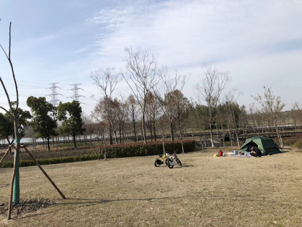 康桥生态园沔青绿地