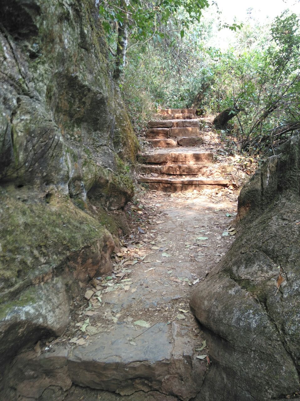 青龙山