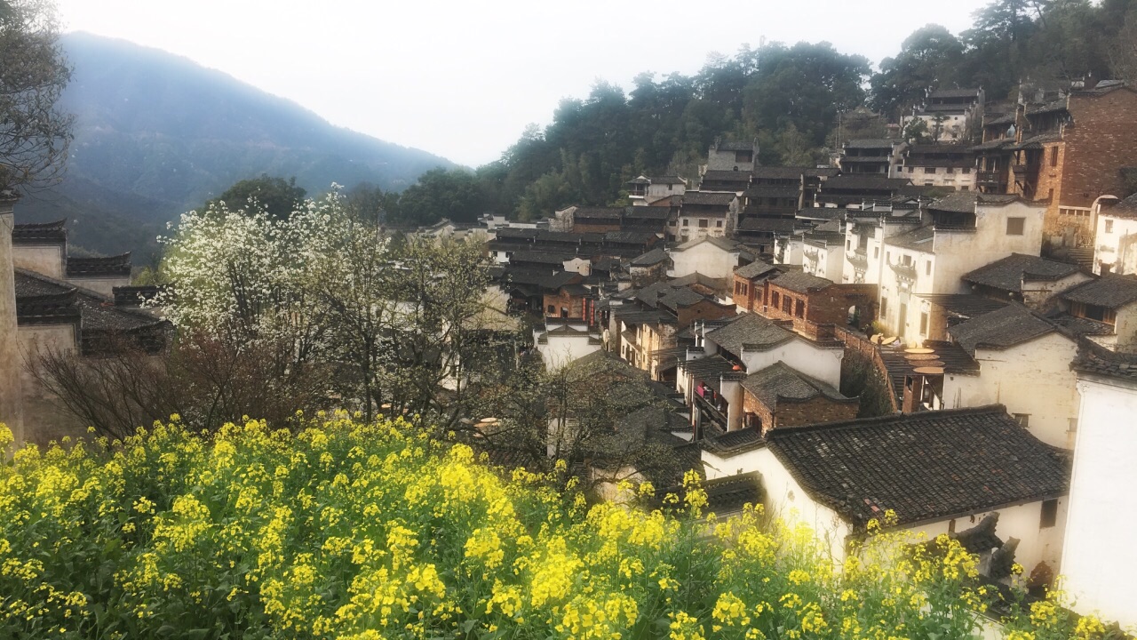 2019婺源篁岭_旅游攻略_门票_地址_游记点评,婺源旅游