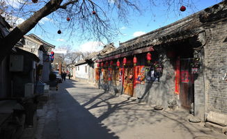 帽儿胡同