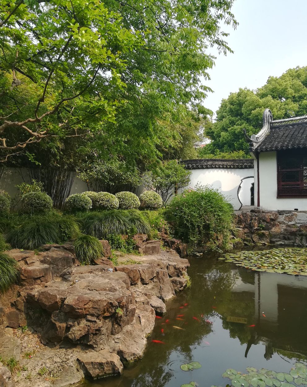 醉白池
