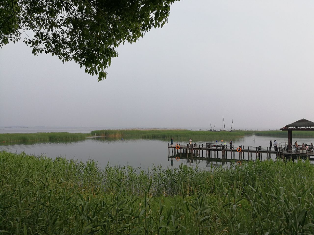 苏州太湖湖滨国家湿地公园