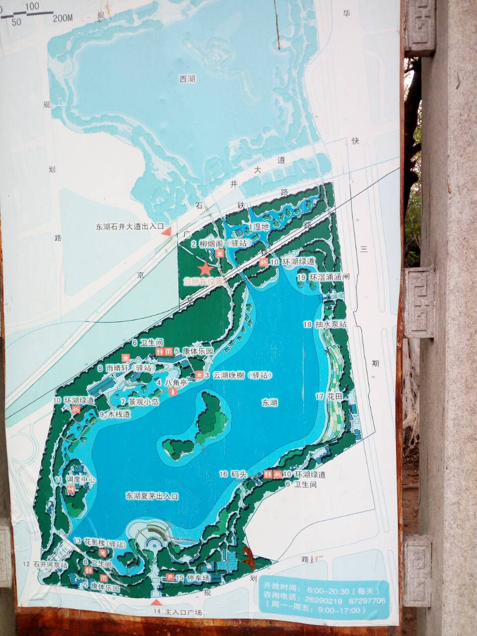 白云湖是广州白云区市区内一个免费的大型公园,春初时分去,坐车去要