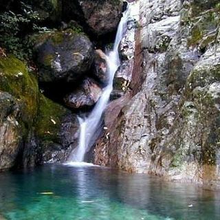箬寮原始林