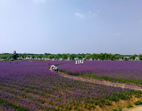 2019大浦乡村门票钥匙,南陵大浦攻略世界游玩乡村逃生世界图片