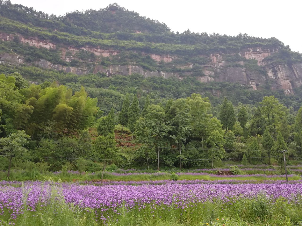 重庆綦江国家地质公园老瀛山景区好玩吗,重庆綦江国家