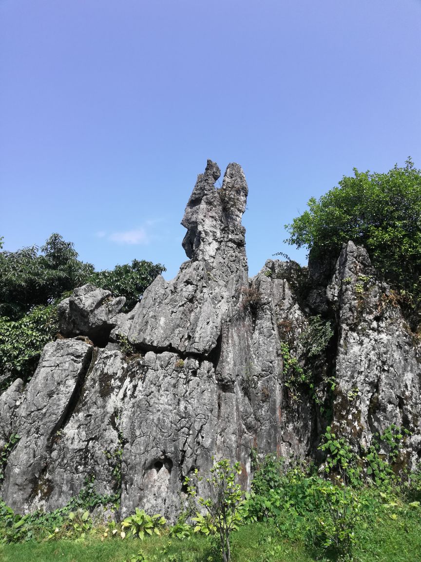 华蓥华蓥山好玩吗,华蓥华蓥山景点怎么样_点评_评价【携程攻略】