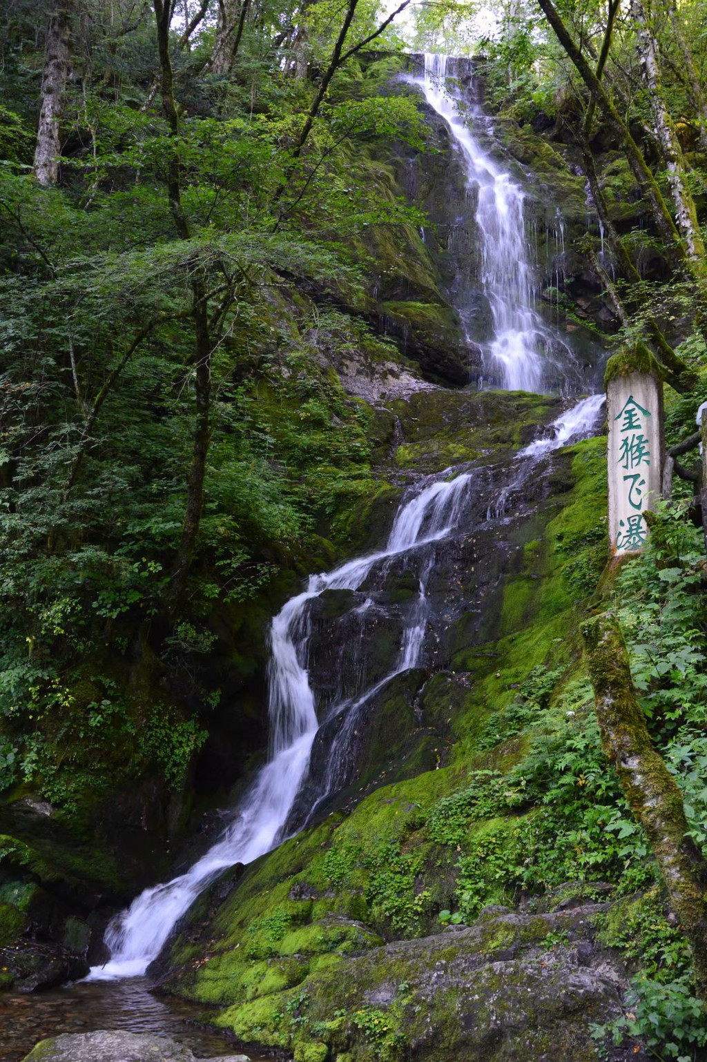 原始神农架,自驾赏美景——我的神农架之旅