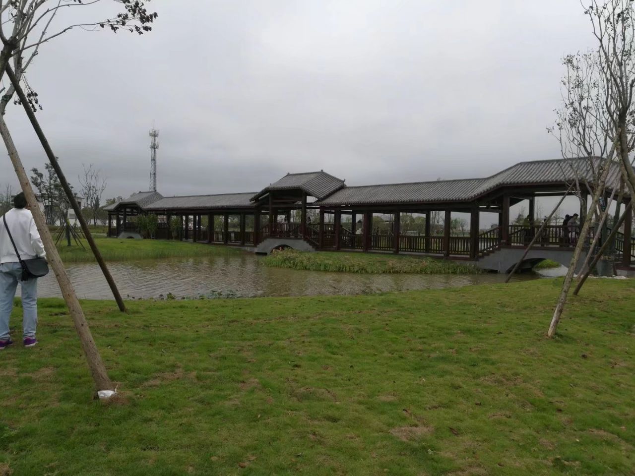 罗文花海涂鸦村