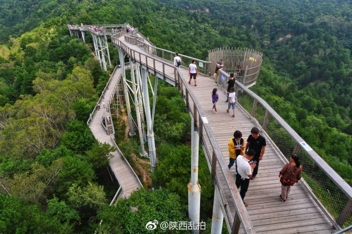 树顶漫步自然教育营地位于陕西黄龙山国家森林公园境内占地面积9660