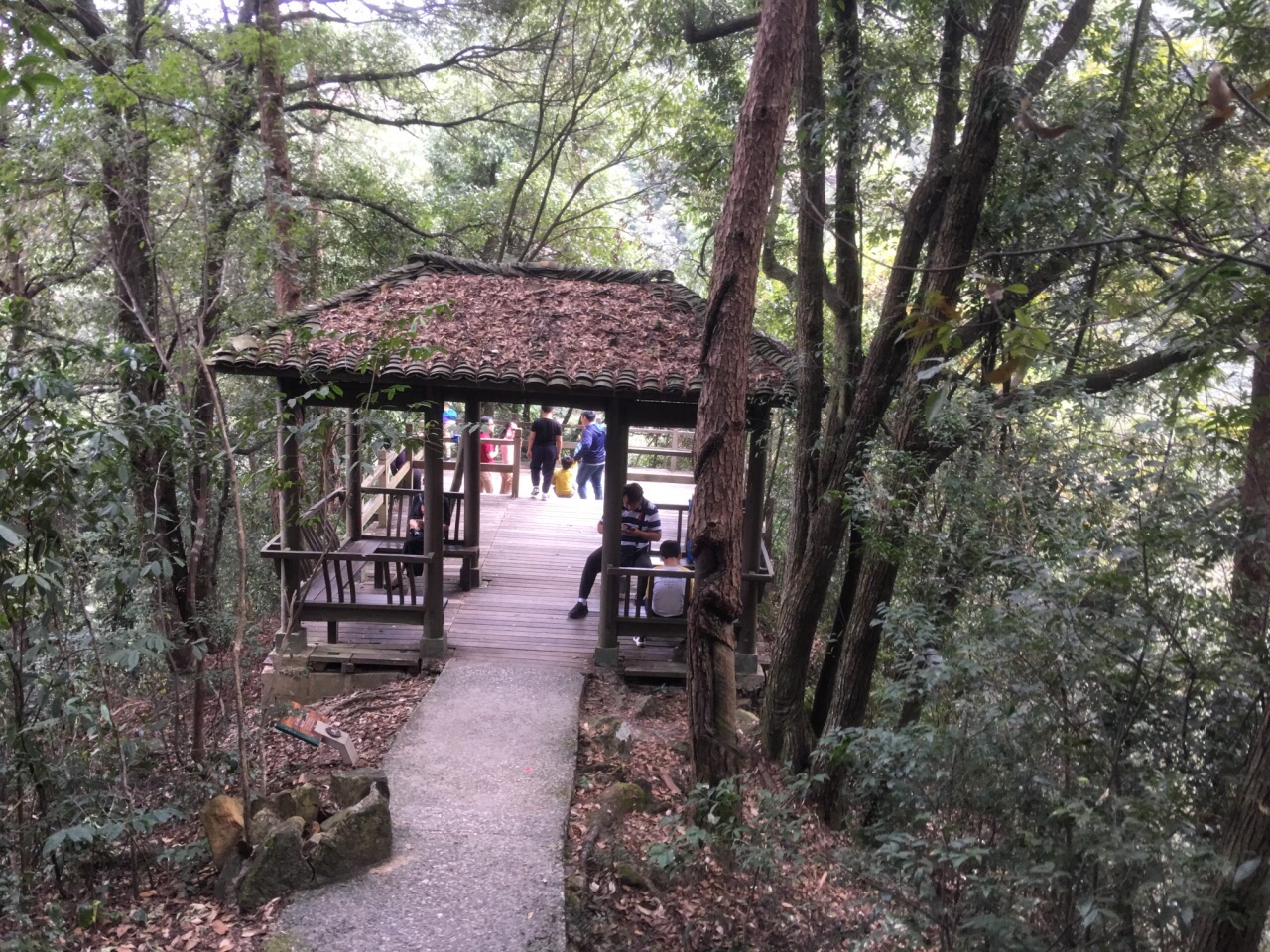千岛湖森林氧吧旅游景点攻略图