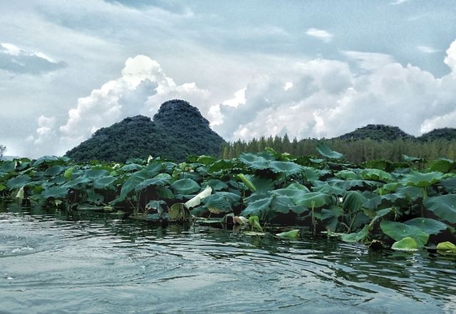 普者黑旅游景点攻略图